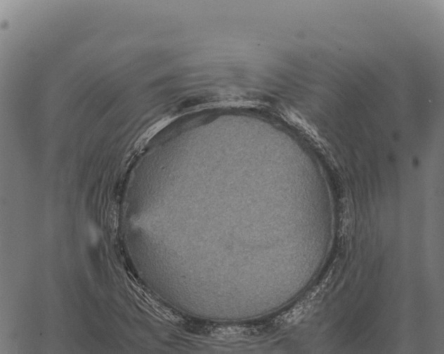 X0000066521169200603311747