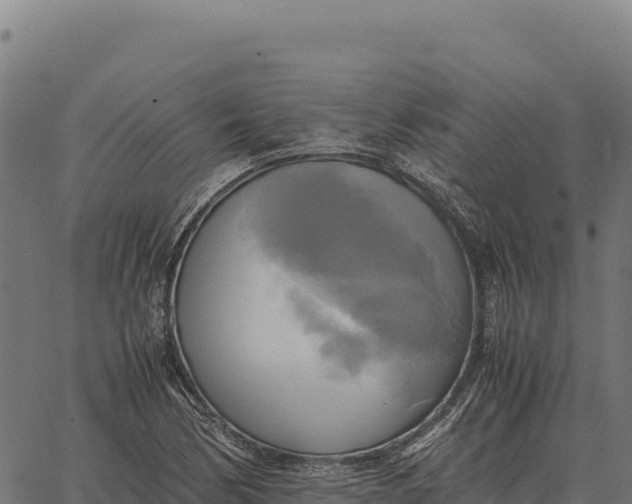 X0000066521170200603311747