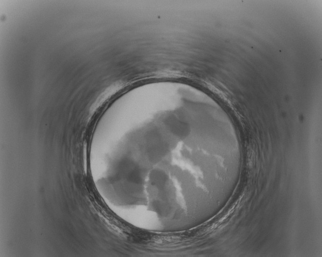 X0000066521171200603311747