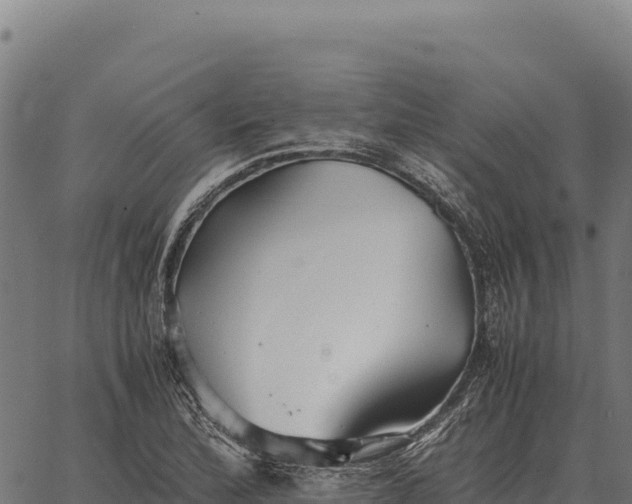 X0000066521172200603311747