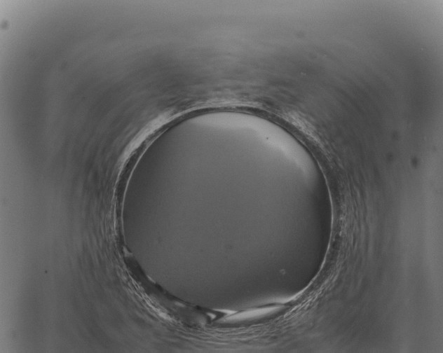 X0000066521173200603311747