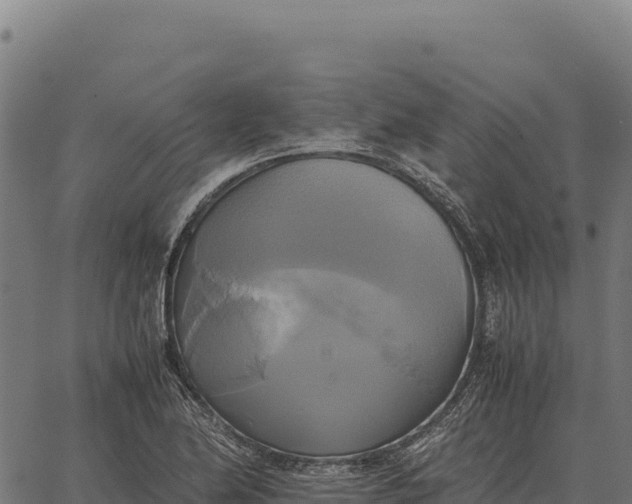 X0000066521174200603311747