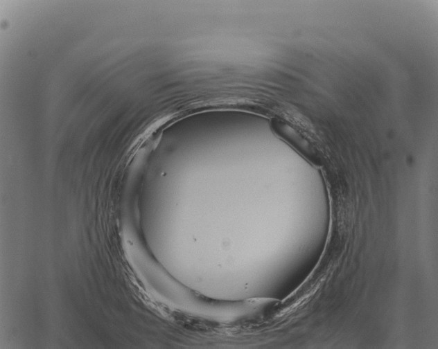 X0000066521177200603311747