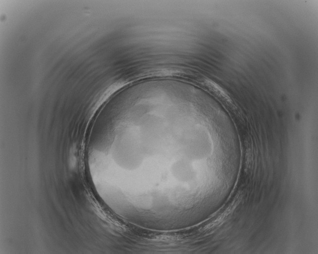 X0000066521178200603311747