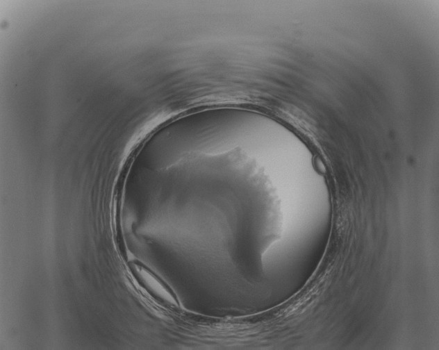 X0000066521179200603311747