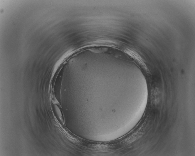 X0000066521180200603311747