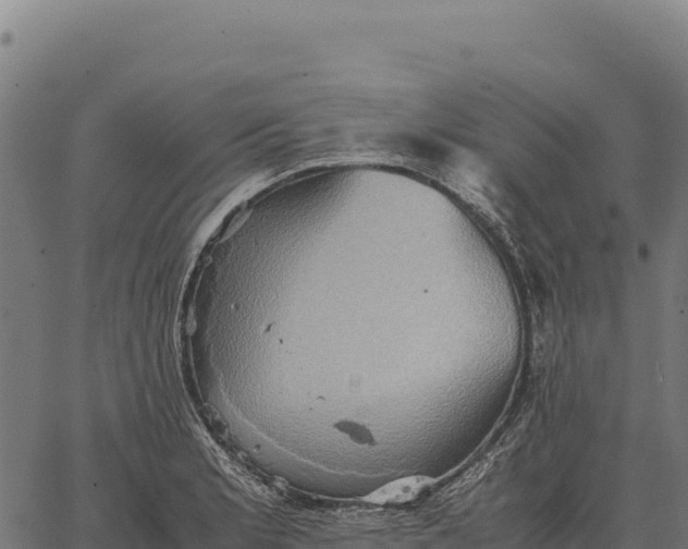 X0000066521181200603311747