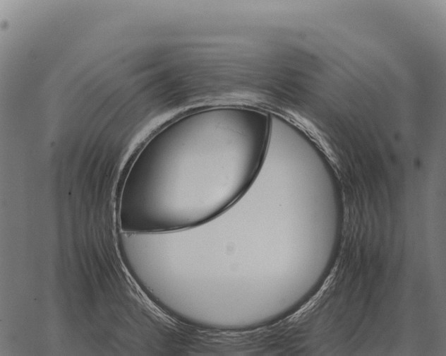 X0000066521184200603311747