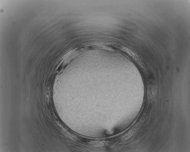 X0000066521185200603311747