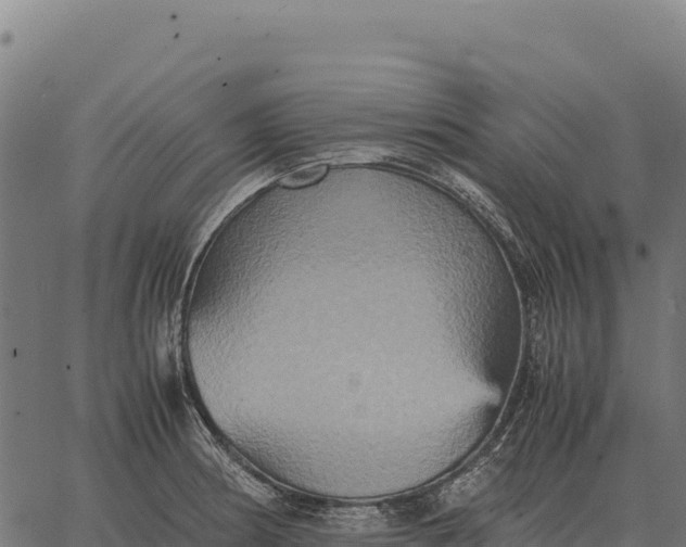 X0000066521186200603311747