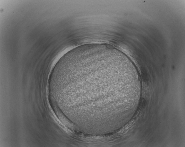 X0000066521187200603311747