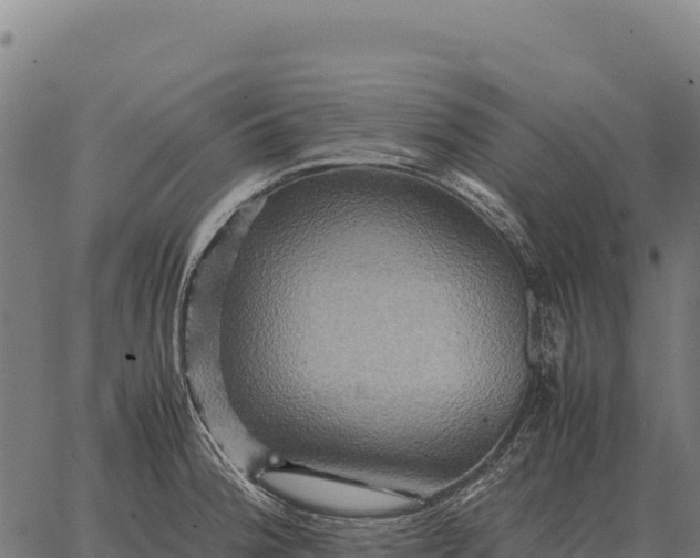 X0000066521188200603311747