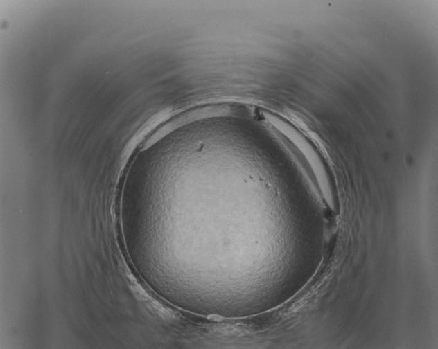 X0000066521189200603311747