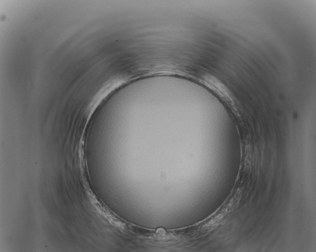 X0000066521190200603311747