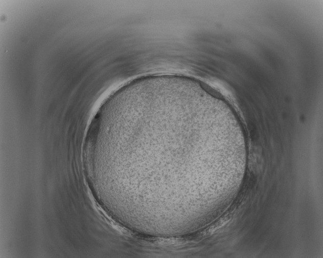 X0000066521191200603311747