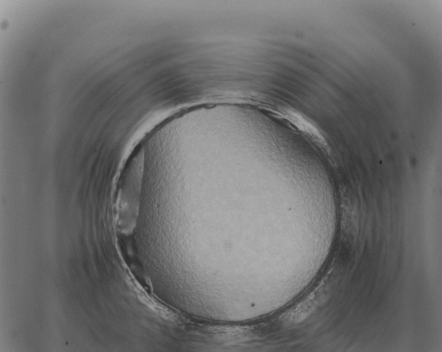 X0000066521192200603311747