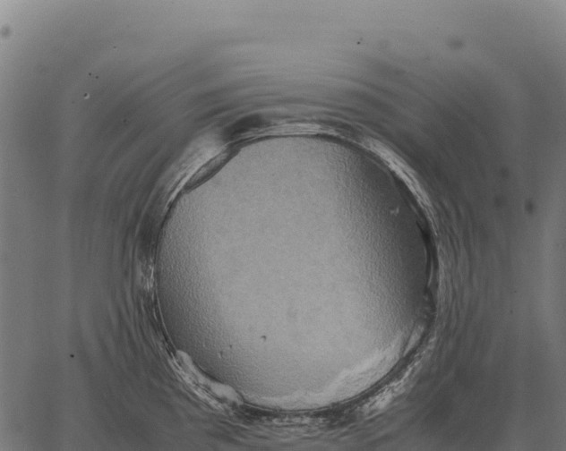 X0000066521193200603311747