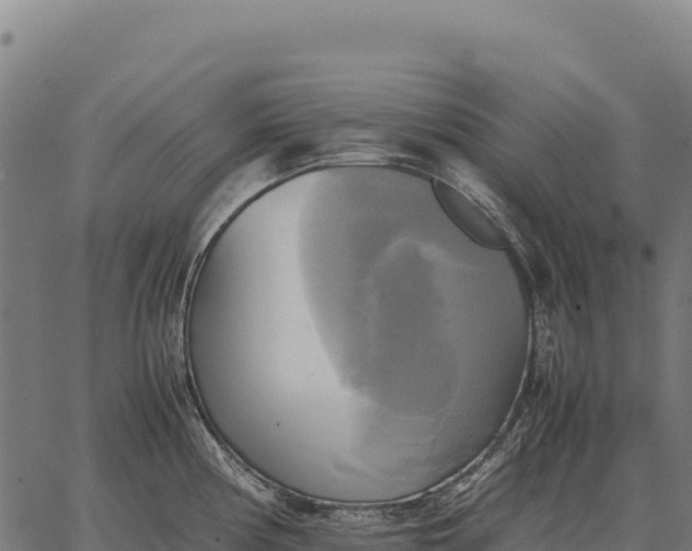 X0000066521194200603311747