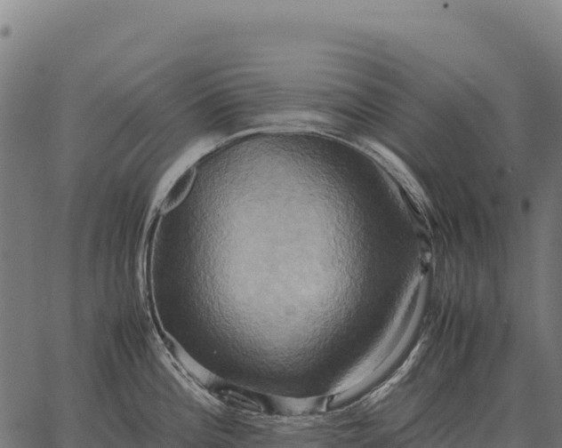 X0000066521196200603311746