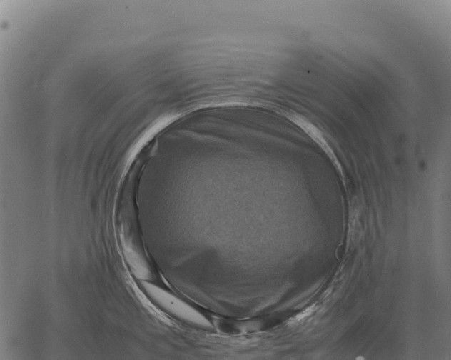 X0000066521197200603311746