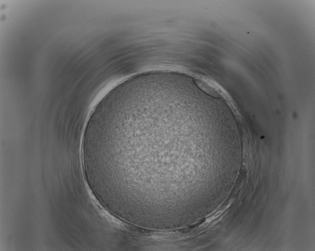 X0000066521199200603311746