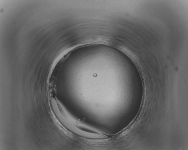 X0000066521200200603311746