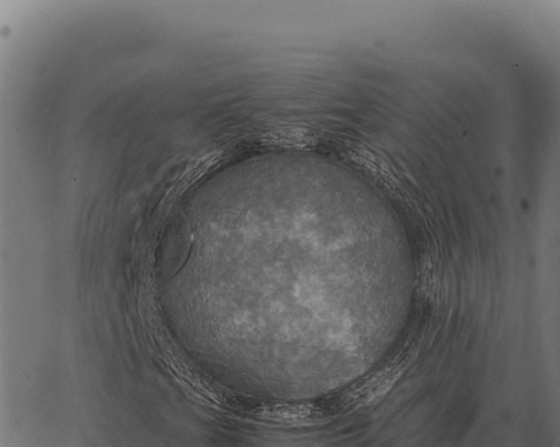 X0000066521201200603311746