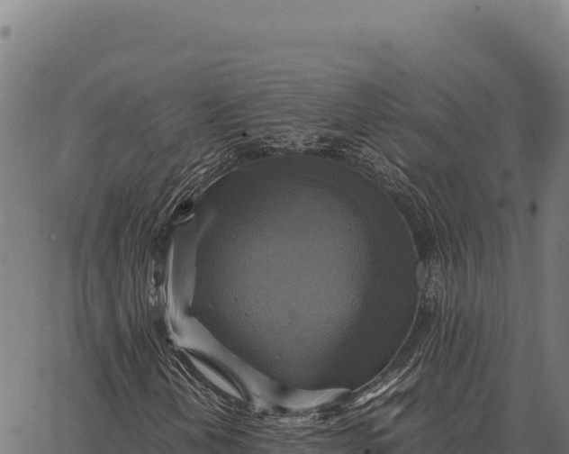 X0000066521202200603311746