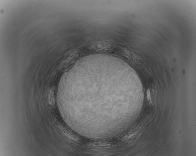 X0000066521203200603311746