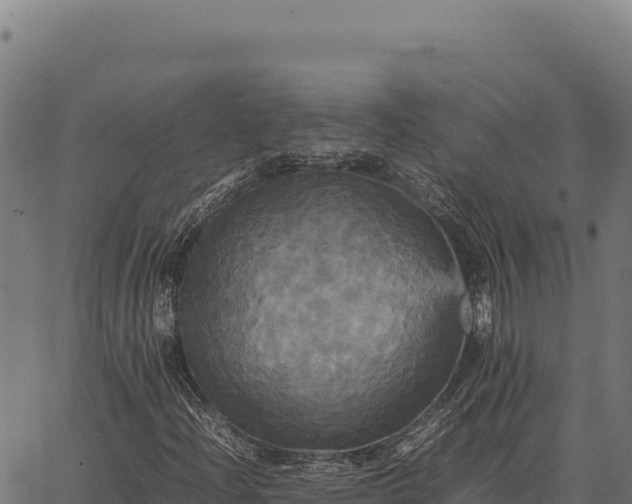 X0000066521204200603311746