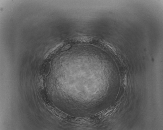 X0000066521205200603311746