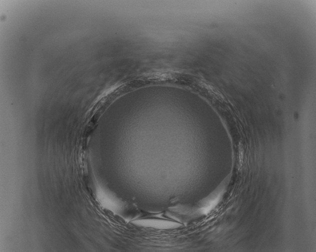 X0000066521206200603311746