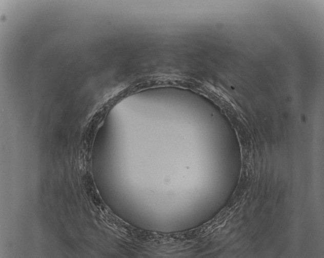 X0000066521207200603311746