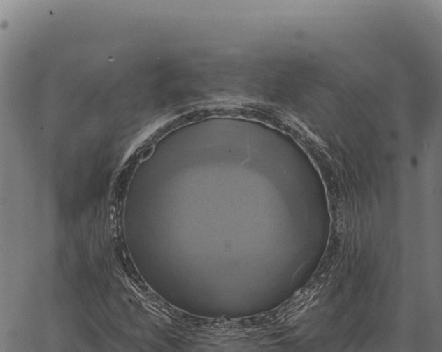 X0000066521208200603311746