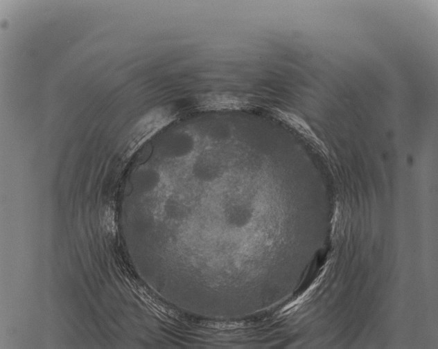 X0000066521209200603311746