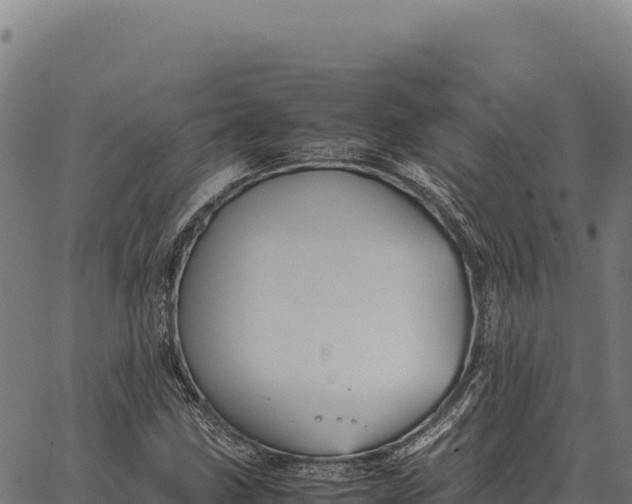 X0000066521211200603311746