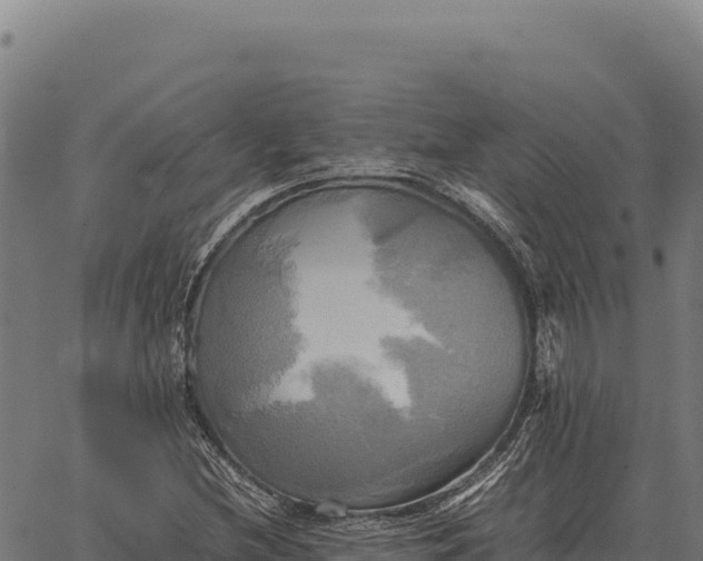 X0000066521212200603311746