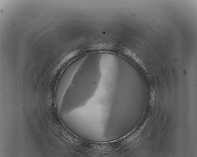 X0000066521213200603311746