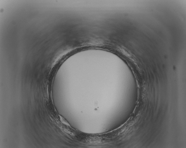 X0000066521214200603311746