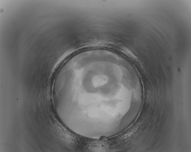 X0000066521216200603311746