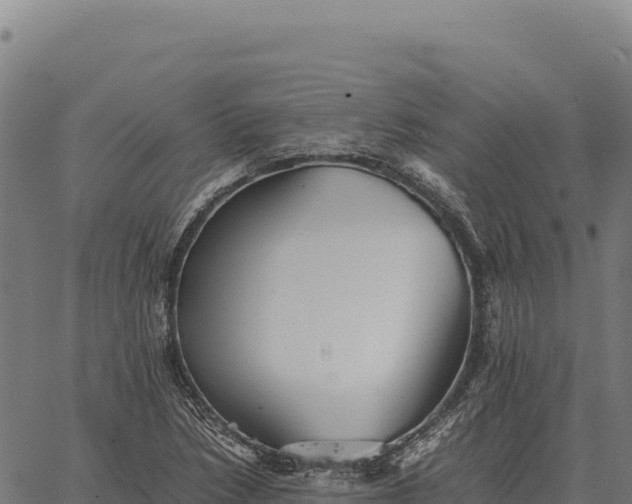 X0000066521218200603311746