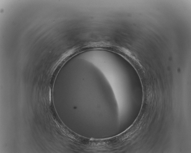 X0000066521221200603311746