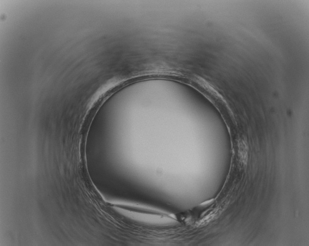 X0000066521222200603311746