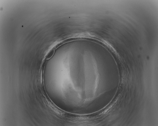 X0000066521224200603311746