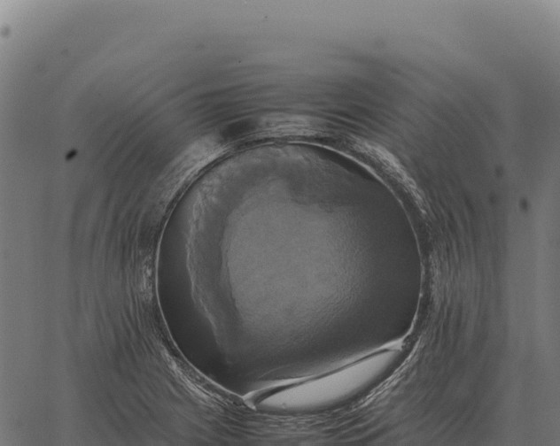 X0000066521225200603311746