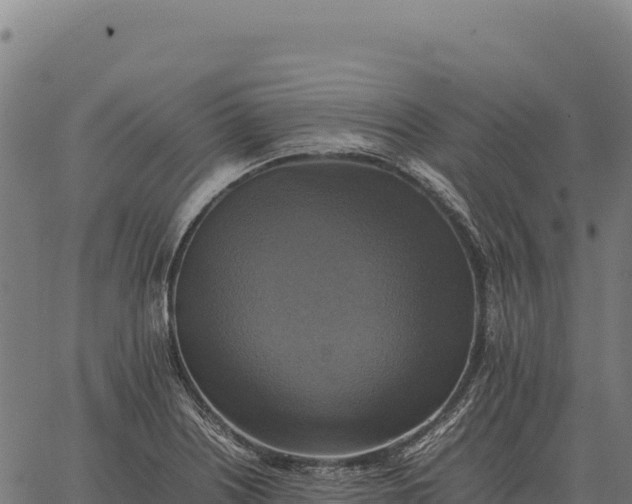 X0000066521226200603311746