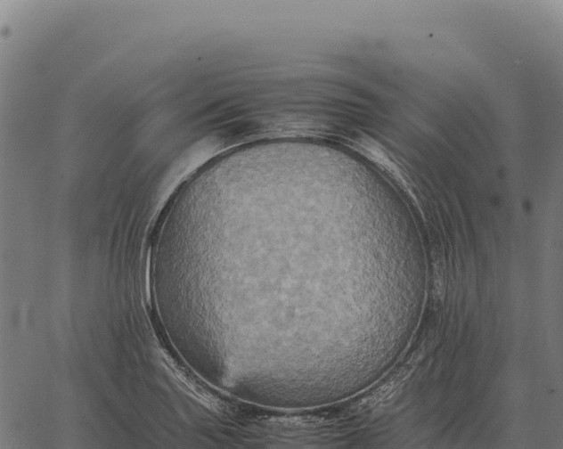 X0000066521227200603311746