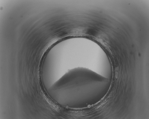 X0000066521229200603311746