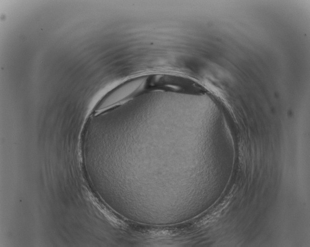 X0000066521230200603311746