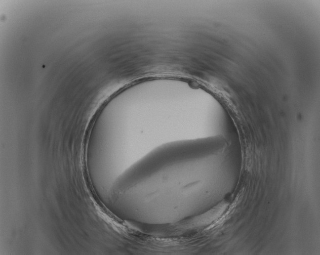 X0000066521231200603311746